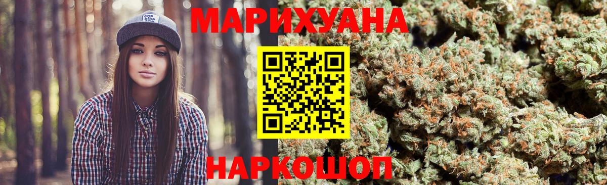 Конопля сатива Тула